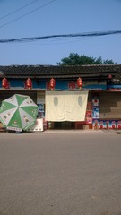 WP_20140708_008