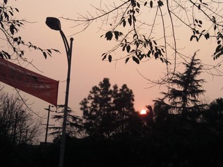Photo006