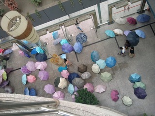 Photo071 (2)