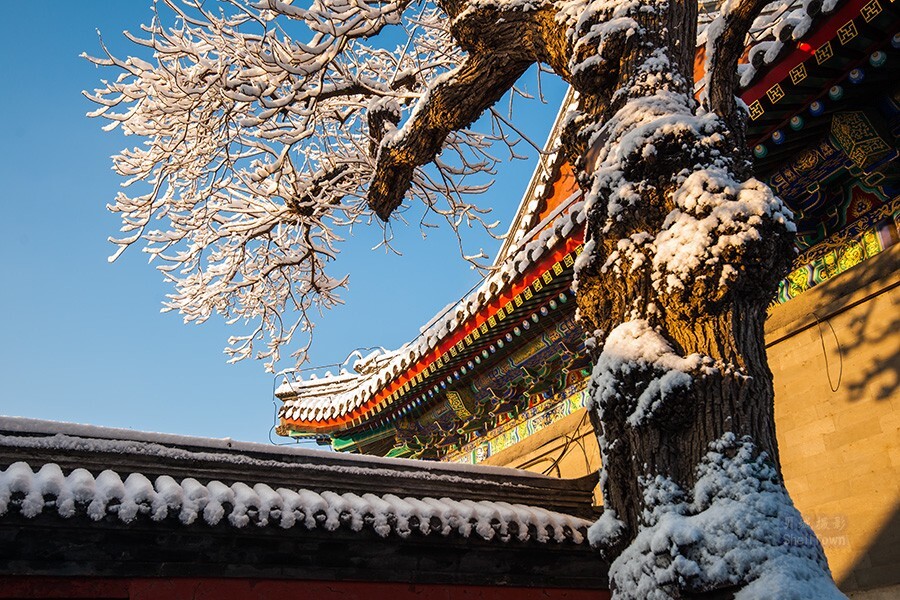 离京两天，回来发现下雪了。但天气不好，就来张老片子吧