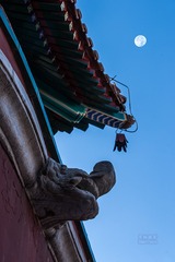 DSC00996-HDR
