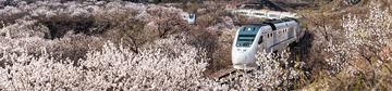 DSC02667-Pano