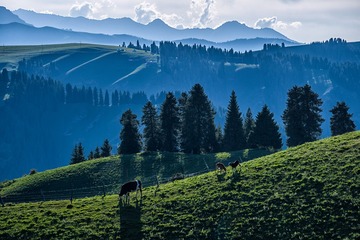 DSC03588-HDR