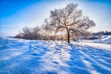 雪影