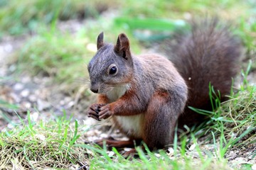 IMG_5106.JPG