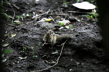 IMG_5759.jpg