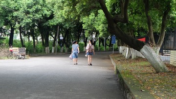 校园往事·背影也是风景2