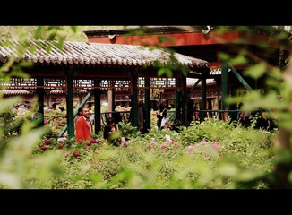 12-IMG_3090.JPG