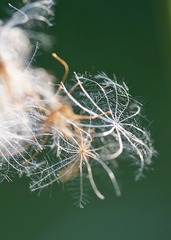 211B6320-F260-4B0B-8963-C479482918EF