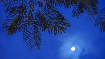 D080871C-80E9-41F3-85C3-4792DA5B6519