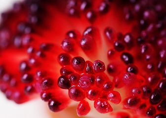 B7DD3BC6-F3D6-498C-AE95-B5DBA1D6B099