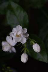 F04636B5-87B6-495D-AB82-5792B675141D