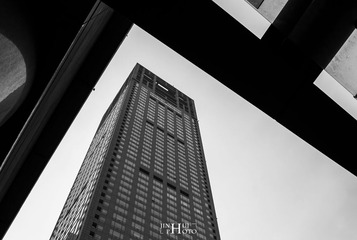 建筑几何-王金辉