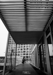 20150327-DSC_9156