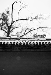 20151122-DSC_0237