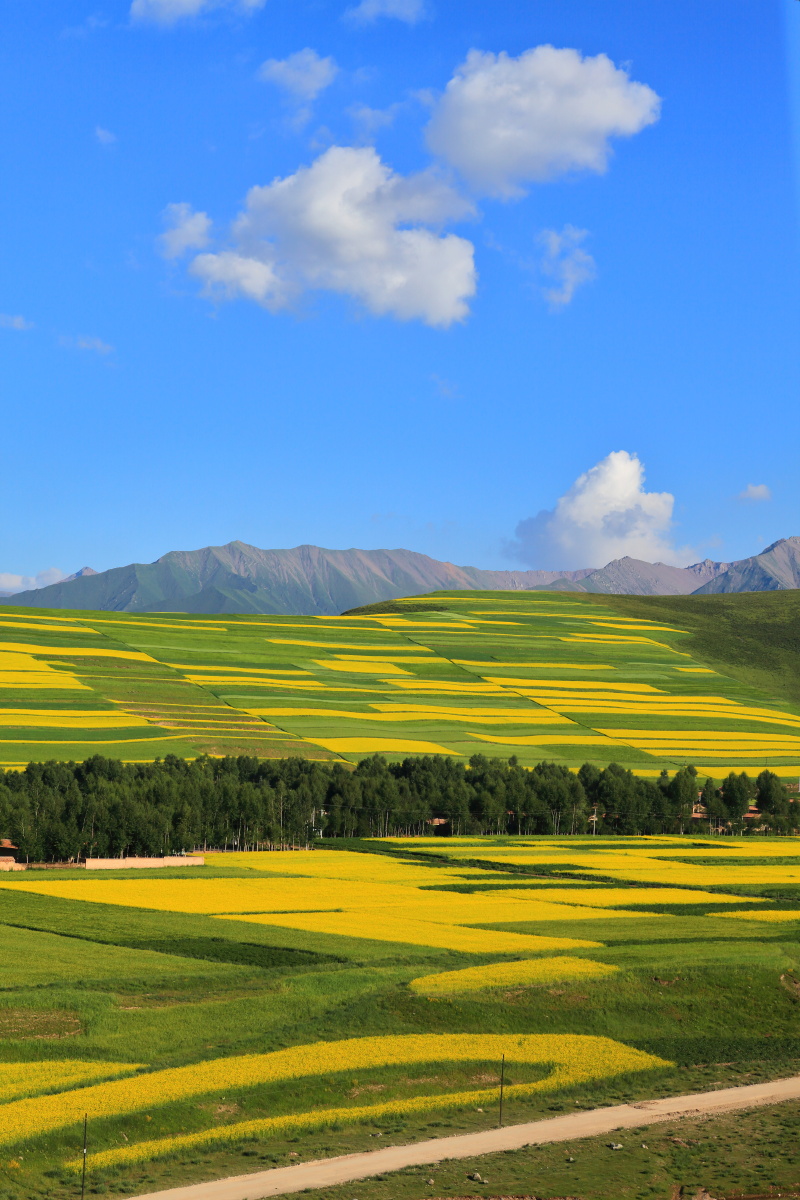 色彩斑斓的大地