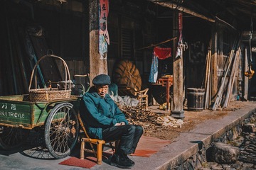 冬日暖阳