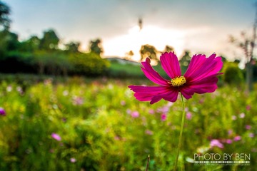 BEN_5934
