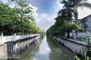 DSC_2960-2
