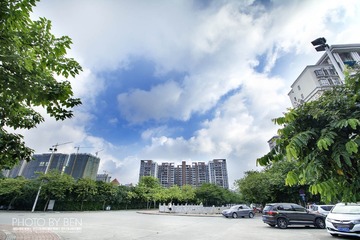 DSC_2969-1
