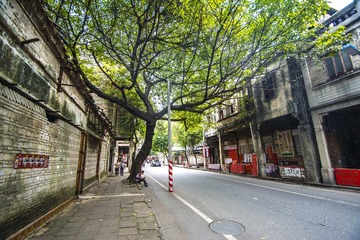 BEN_5915