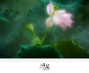 BEN_9442-2