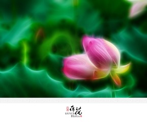 BEN_9506-2