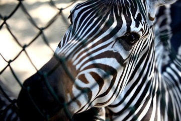 2006537_758244417_rotate.jpg