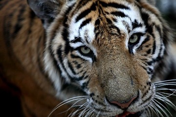 2006537_758244609_rotate.jpg