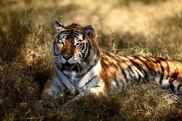 2006537_758244869_rotate.jpg
