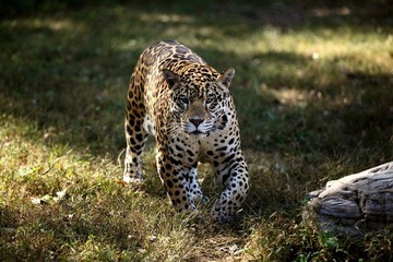 2006537_758247302_rotate.jpg