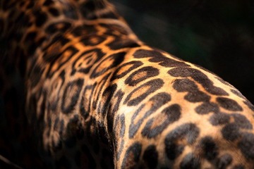 2006537_758247497_rotate.jpg
