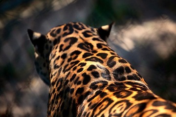 2006537_758247725_rotate.jpg