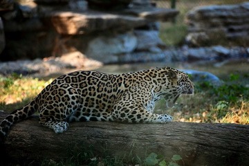 2006537_758247923_rotate.jpg