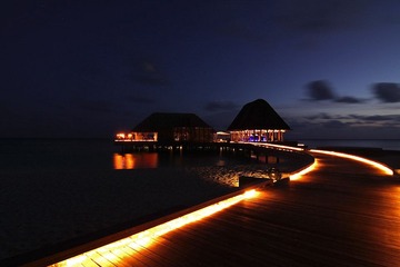IMG_1533.jpg