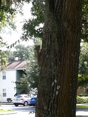 20131005_124414