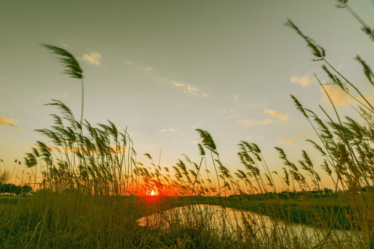 落日- 春天青蛇 - 图虫