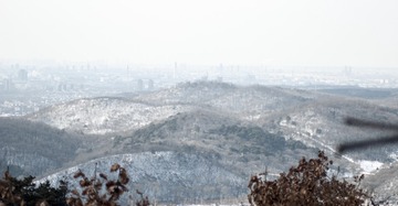 DSC_1506-16