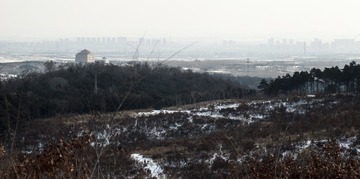 DSC_1511-16