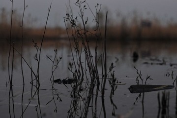 DSC_9794.JPG