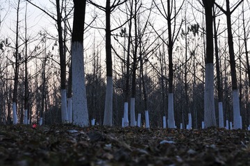 DSC_9798.JPG