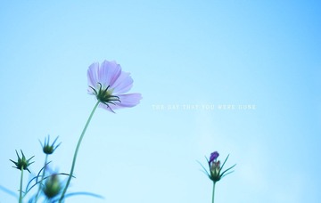 IMG_6669b.jpg