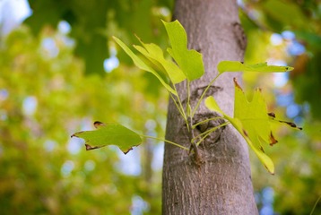IMG_7788.jpg