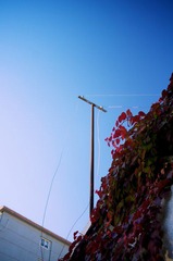 IMG_8084.jpg