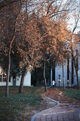 IMG_7947---版本-2.jpg