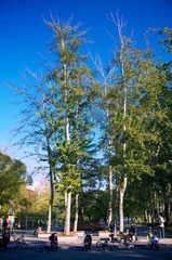 IMG_8299.jpg