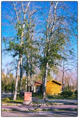 IMG_8440.jpg