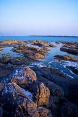 IMG_9292.jpg