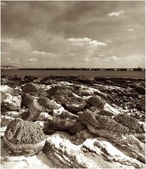 全景图1 (1).jpg