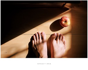 IMG_9581.jpg